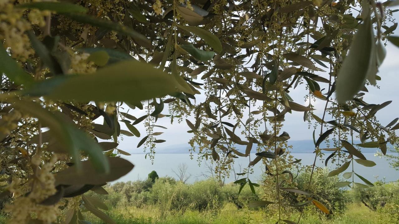 Hotel La Torre Castiglione del Lago